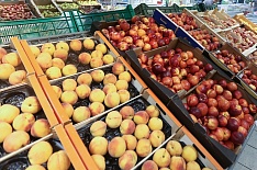 Россия и Таджикистан увеличивают товарооборот сельхозпродукции