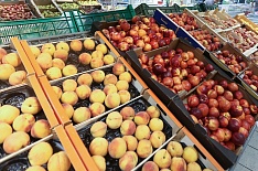 Россия и Таджикистан увеличивают товарооборот сельхозпродукции