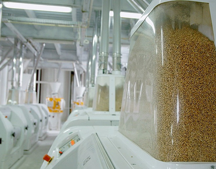 Компания "Рустарк" займется глубокой переработкой зерна