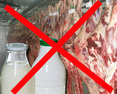 Говядина и молочные продукты из Польши признаны опасными