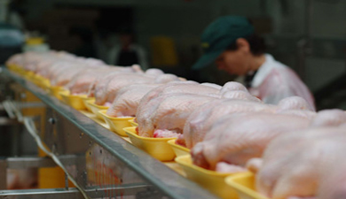 «Первомайская» произведет 9 тысяч тонн диетического мяса