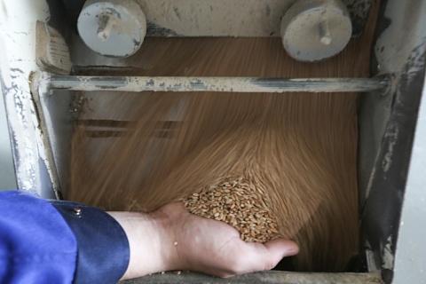 Группа «Рост» займется глубокой переработкой зерна