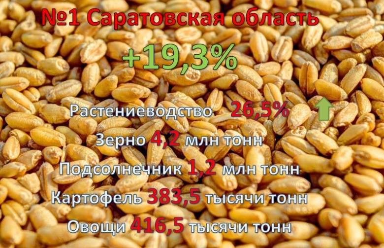 1. Саратовская область