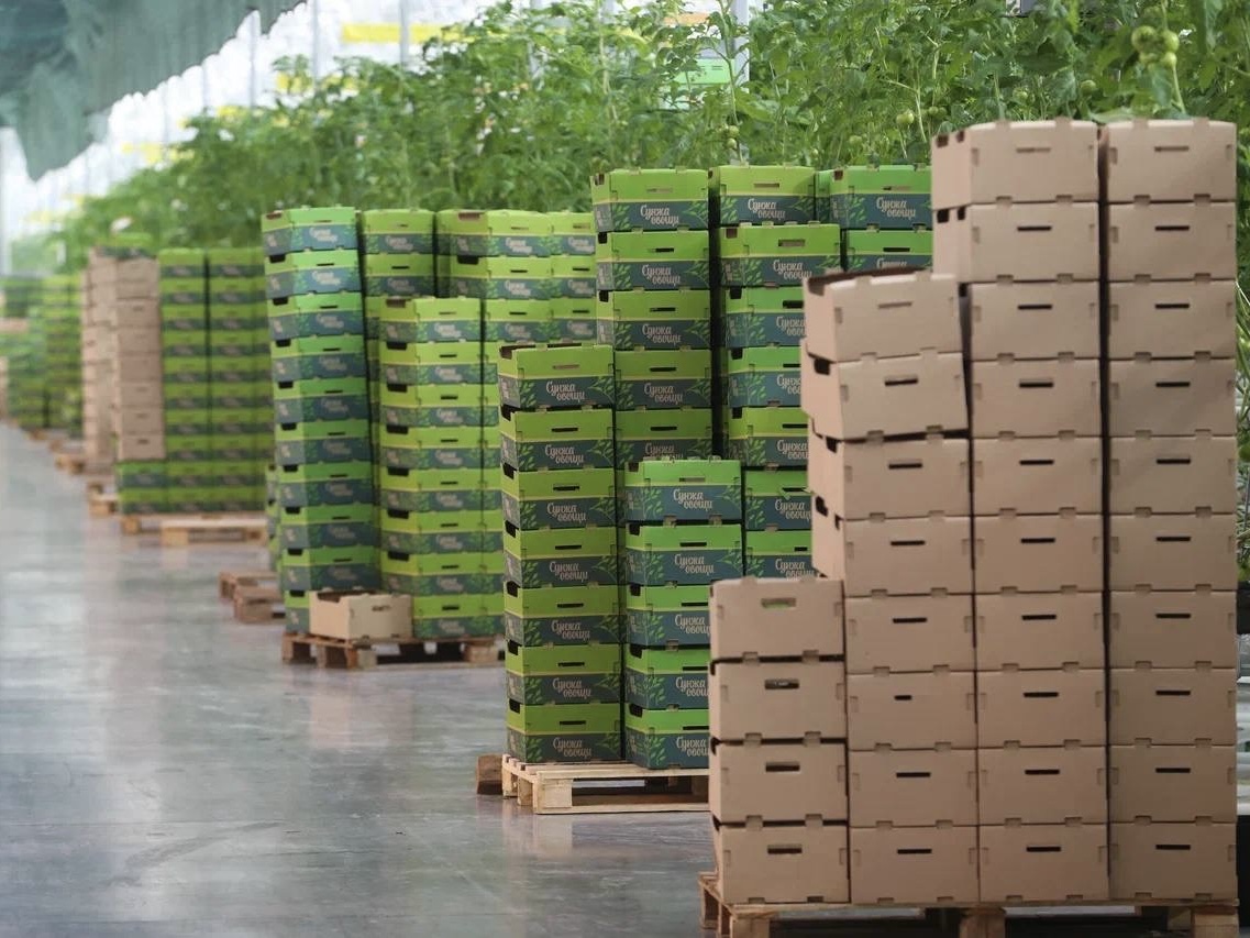 В Ингушетии завершается строительство второй очереди тепличного комплекса «Сунжа»