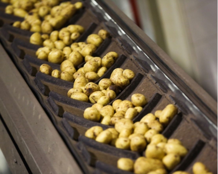 Переработчики просят поднять пошлины на импорт картофельных хлопьев