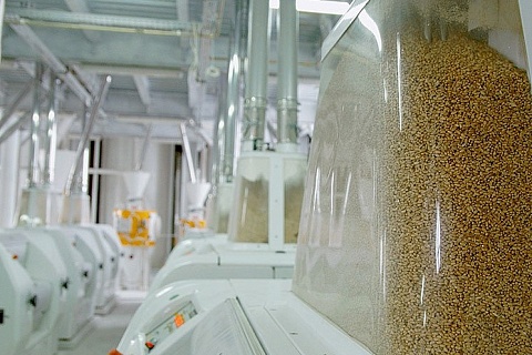 Под Липецком строится комплекс по переработке пшеницы стоимостью 63 млрд рублей
