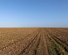Минсельхоз обсудит введение продовольственного заказа
