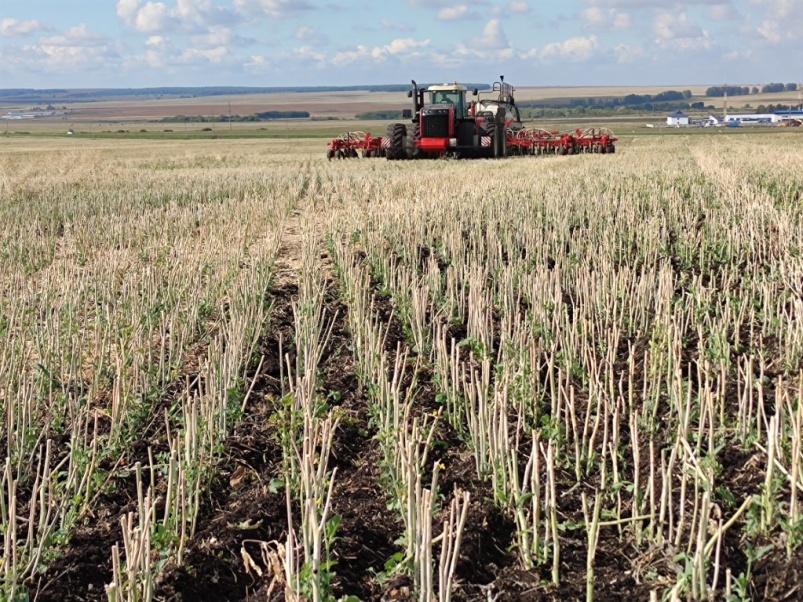 Объем урожая в хозяйствах УК «Август-Агро» по итогам 2022 года ожидается на уровне 500 тысяч тонн