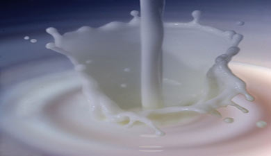 Цены на молоко вырастут только на 5%