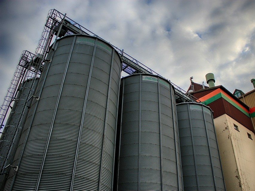 Сбор зерна превысил 140 млн тонн в бункерном весе