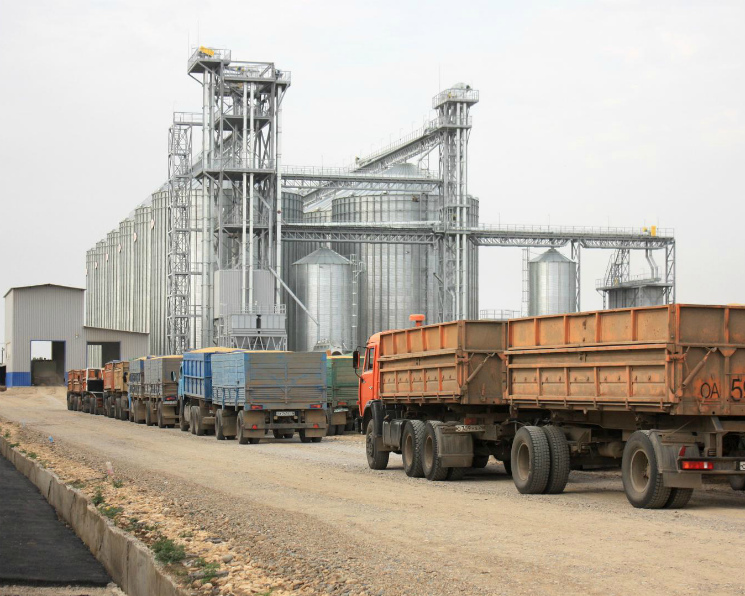 Минсельхоз предложил повысить цены на зерно и сахар для проведения интервенций
