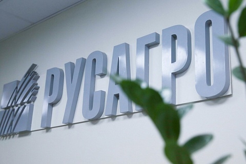 «Русагро» увеличила выручку на 16%