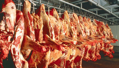 Правительство меняет порядок распределения мясных квот