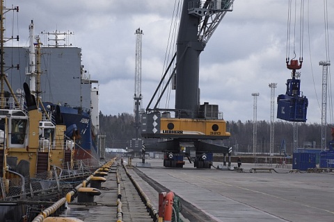 Экспорт российской продукции АПК вырос на 17%