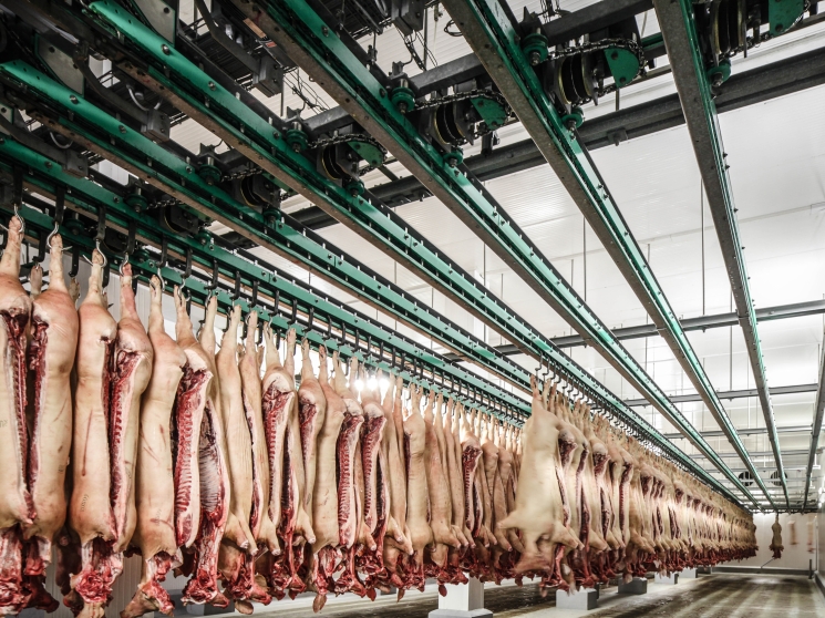 Мясной сектор откатится назад. Объем производства мяса в 2021 году составит около 11 млн т