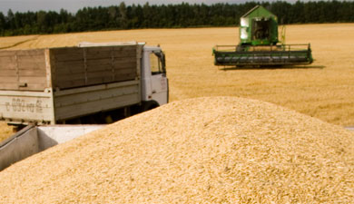 Обсуждать ограничения по экспорту зерновых преждевременно
