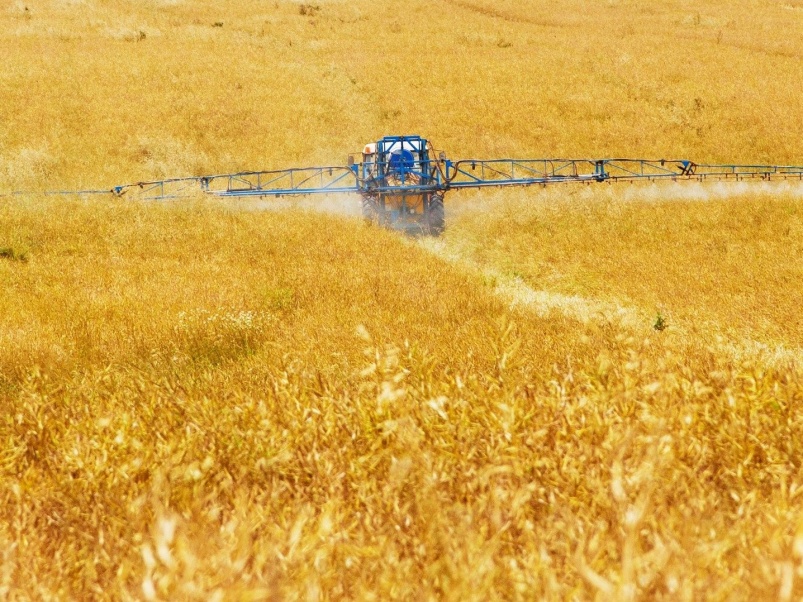 Фальсификат — угроза полям: эксперты «Августа» рассказали о последствиях применения некачественных пестицидов