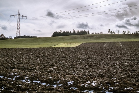 Дмитрий Патрушев: 97% озимых в нормальном состоянии