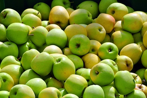 Российские садоводы попросили проверить импортные яблоки