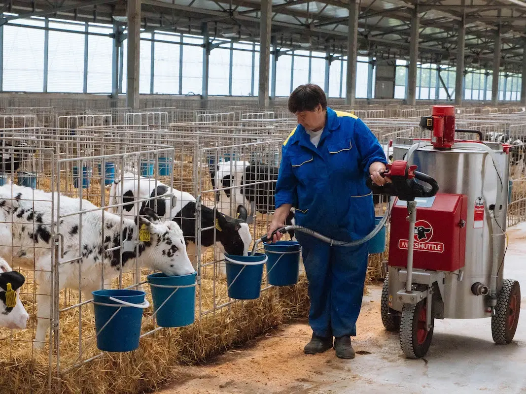СХП «Мокрое» увеличивает производство молока