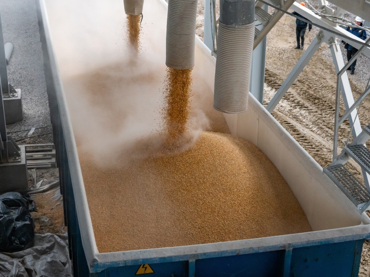 Второй после рекорда. Производство зерна в России может превысить 140 млн т