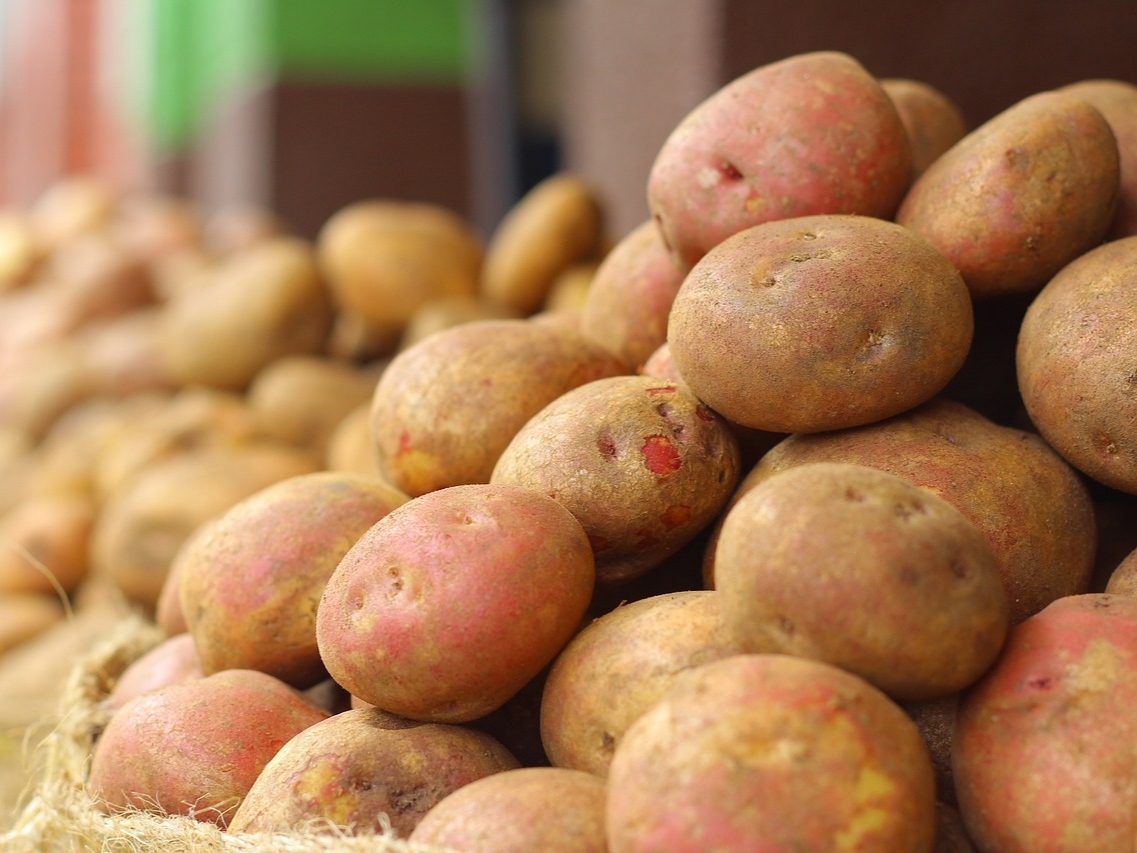 Аграрии столкнулись с проблемой нехватки мощностей для хранения картофеля