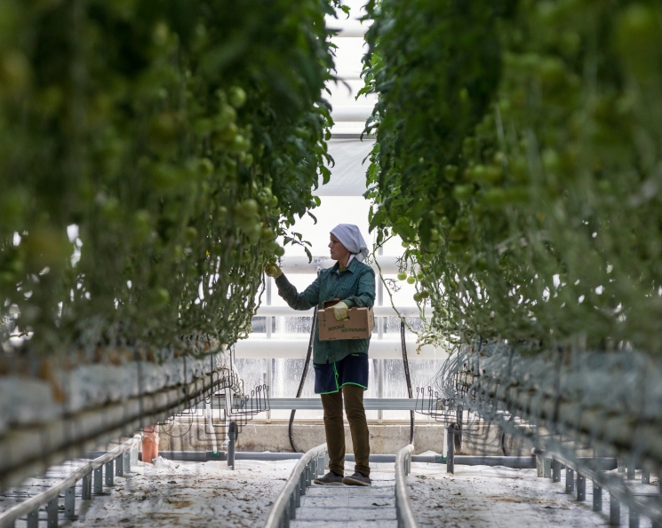 Представители агробизнеса вошли в рейтинг работодателей