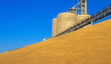 Минэкономразвития не видит смысла в продлении зернового эмбарго