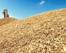 Снижения цены на зерно не случилось