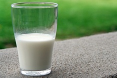 Цены на сырое молоко выросли впервые за 3,5 месяца