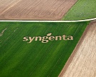 Syngenta ожидает падения продаж