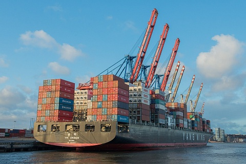Экспорт продукции АПК вырос на 16%