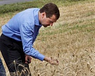 Дмитрий Медведев: Россия укрепит позиции экспортера зерна