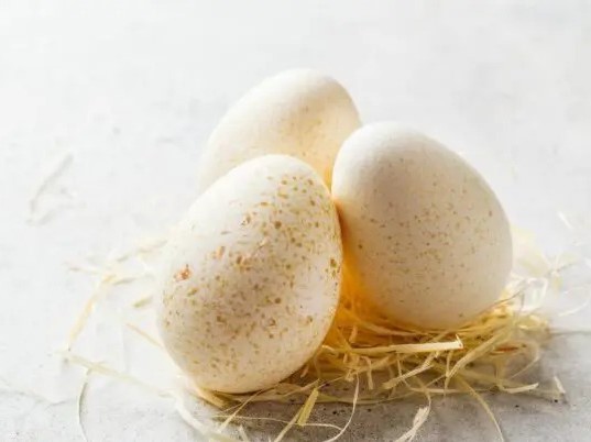 «Агроимпорт» осуществил первый экспорт произведенного в России инкубационного яйца индейки в Казахстан