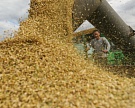 Мировые запасы зерна на конец сезона-2015/16 увеличатся до 642 млн тонн