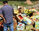 Попавшие под санкции продукты будут уничтожаться до конца 2017 года