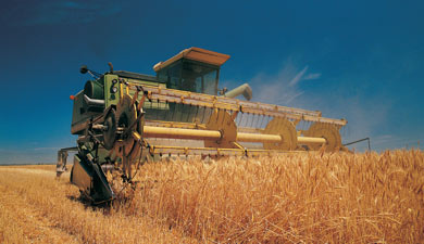 Производство 2,5 млн т/год зерна должно стать нормой для Курганской обл.