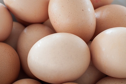 Удмуртия впервые экспортировала яйца в ОАЭ