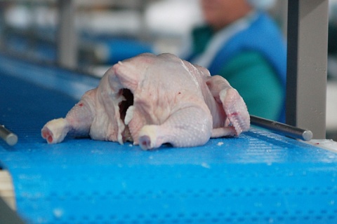 РСХБ видит риски диспропорции производства мяса бройлера