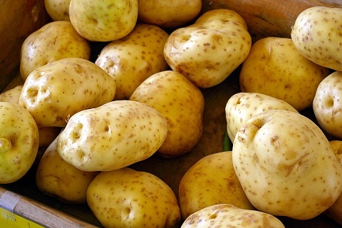 Картофельный союз: потребители готовы переплачивать за крупный картофель