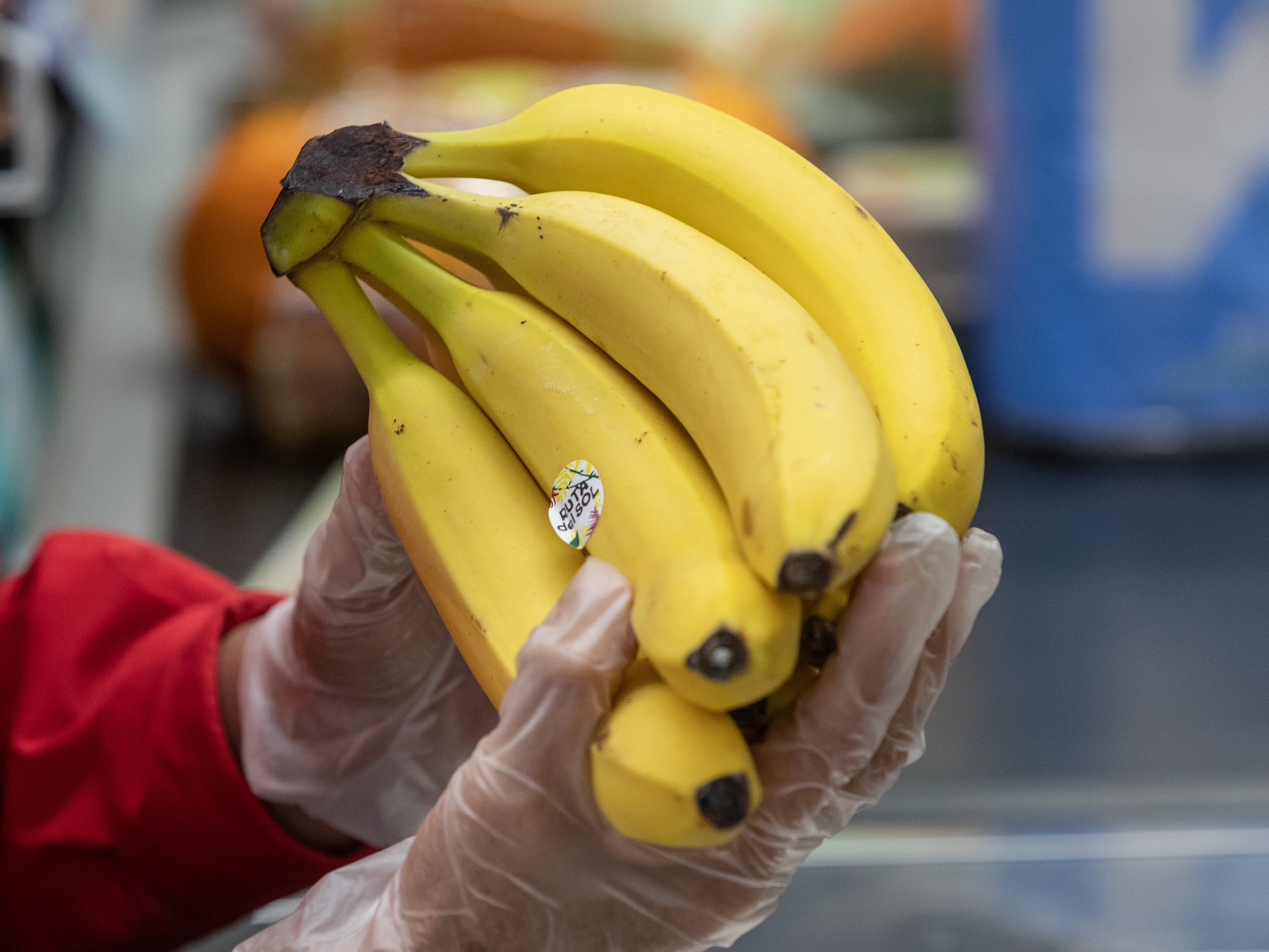 Страны выращивающие бананы. Банан. Бананы растут. Бананы на рынке. Банан оптовый.