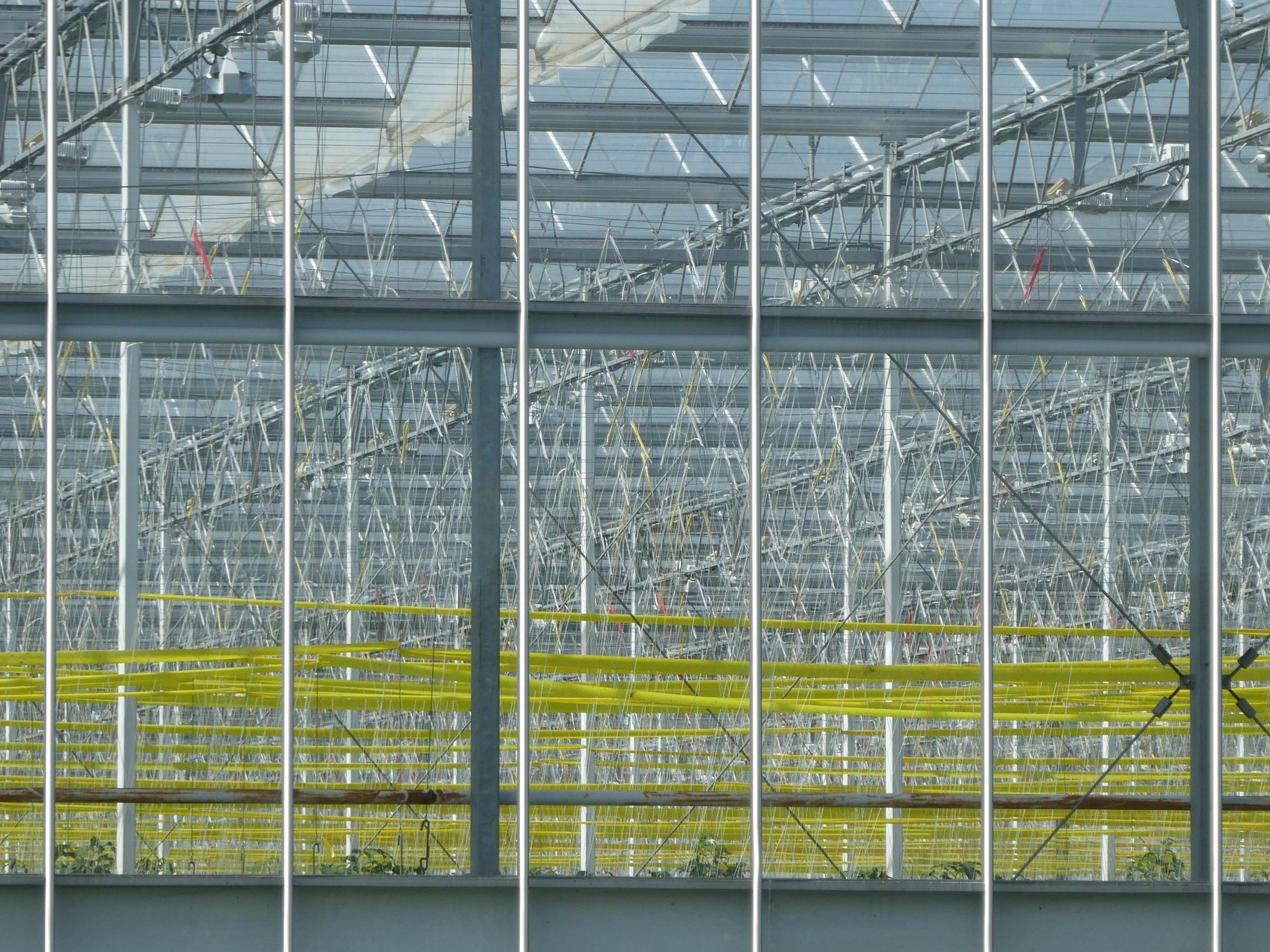 Первый в Бурятии современный тепличный комплекс будет запущен в 2026 году