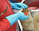 Bayer открыл центр по обработке семян в Краснодаре