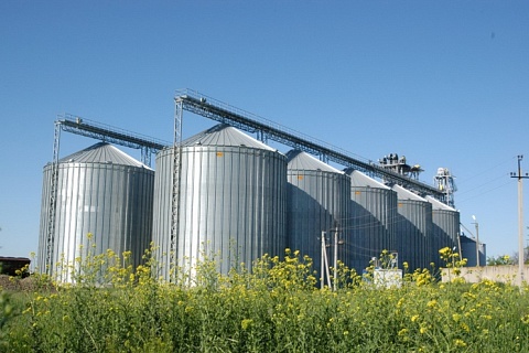 Правительство изменило правила продажи зерна из госфонда
