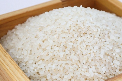 ИКАР: ситуация с недостатком риса в мире не является критической