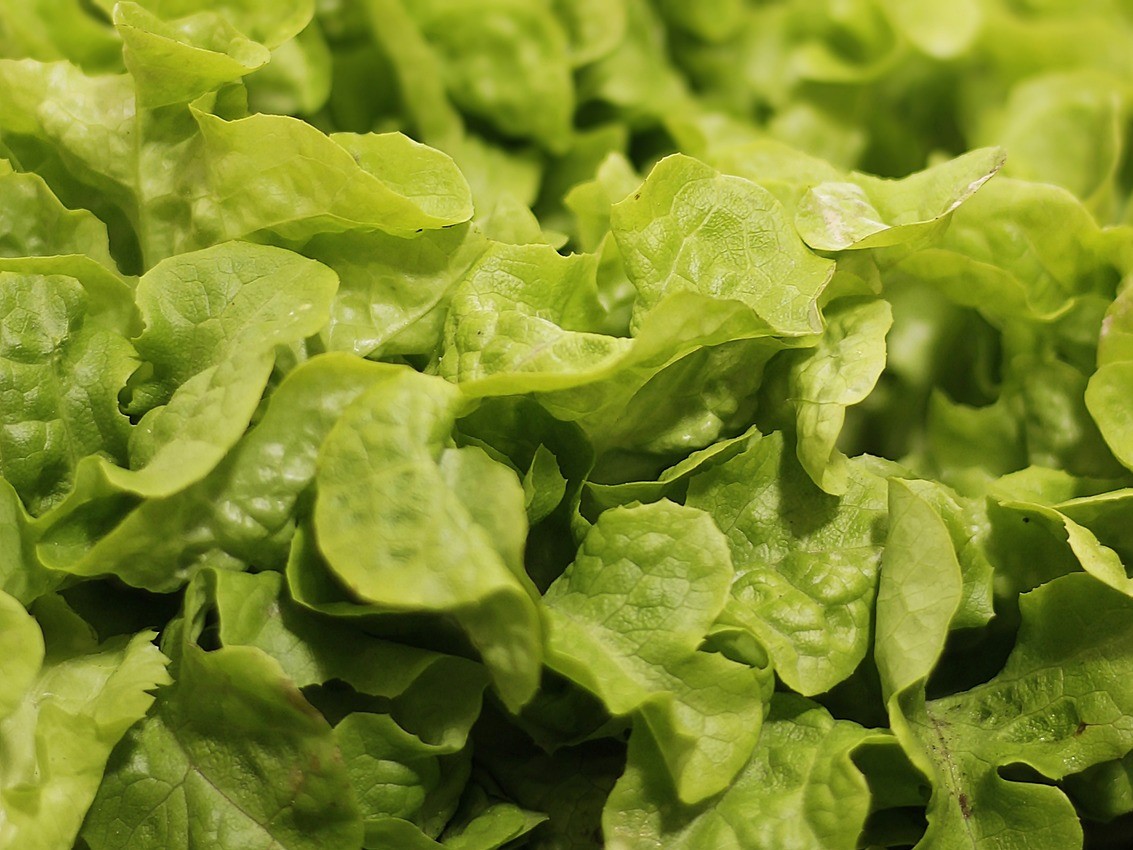 В этом году потребление салатов может увеличиться на 5-7%