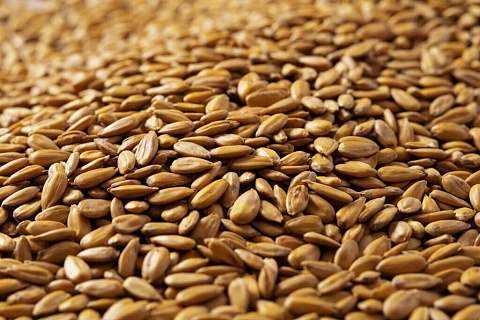 Компания «ЛЕОН» увеличила производственые мощности на 60%