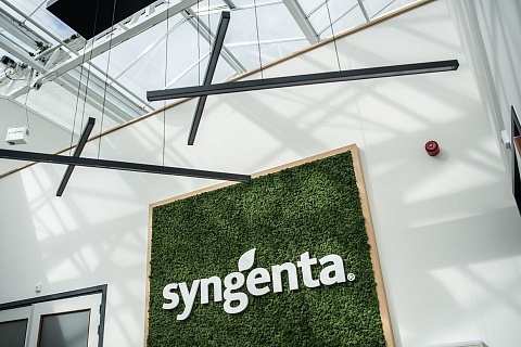 Syngenta инвестирует 250 млн рублей в расширение Института защиты семян в Воронежской области