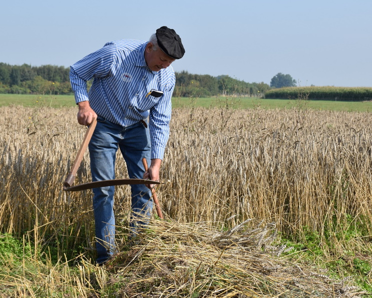 Grain Bill без амбиций‌