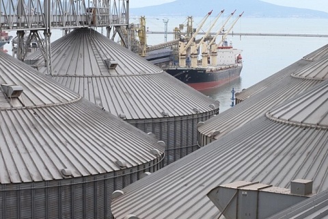 Минсельхоз США сохранил прогноз экспорта пшеницы из России в этом сезоне